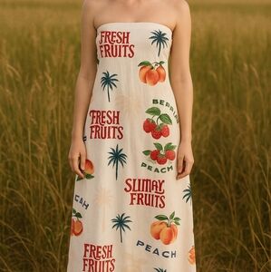 Paper Hearts Womens Fruit Print strapless Maxi Dress size Small New Beachy Retro